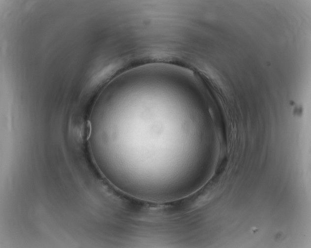 X0000092050072200709191129