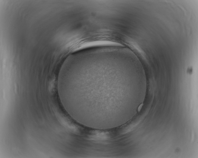 X0000092050073200709191129