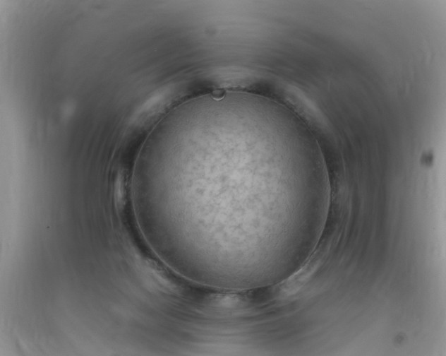 X0000092050074200709191129