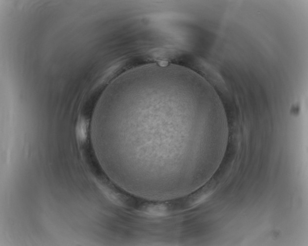 X0000092050075200709191129