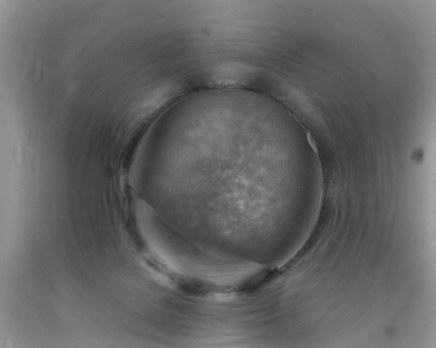 X0000092050076200709191129