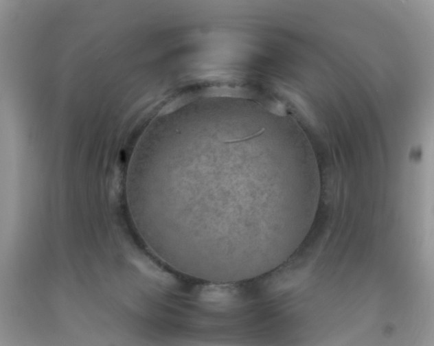 X0000092050077200709191129