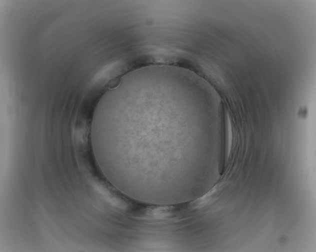 X0000092050078200709191129