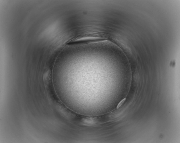 X0000092050079200709191129