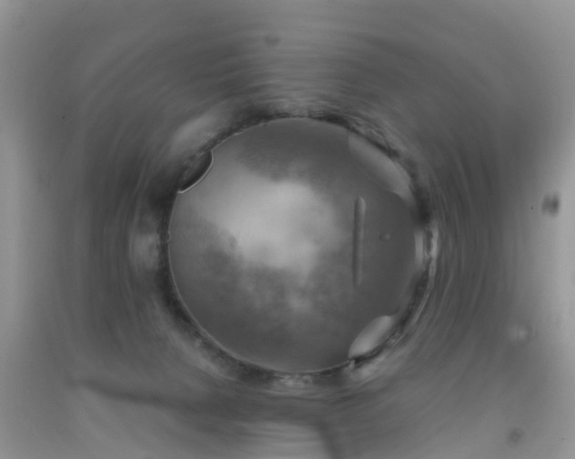 X0000092050080200709191129