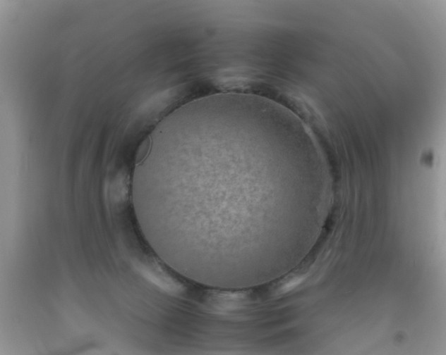 X0000092050081200709191129