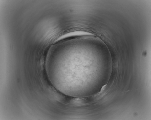 X0000092050082200709191129