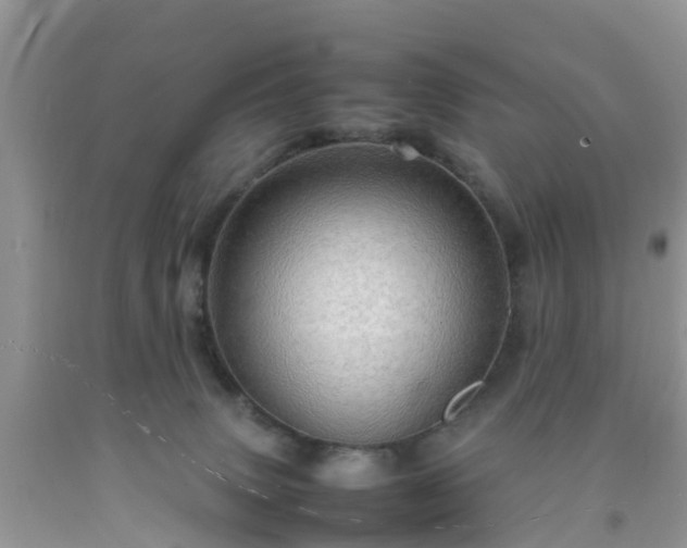 X0000092050083200709191129