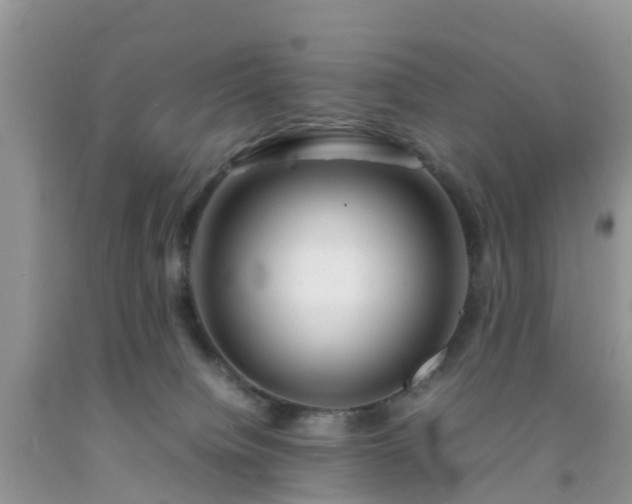 X0000092050084200709191129