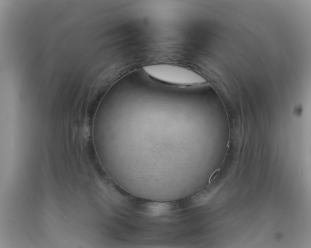 X0000092050085200709191129