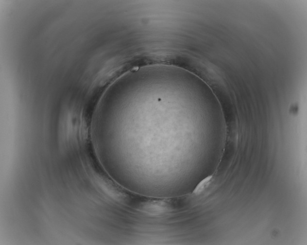 X0000092050086200709191129