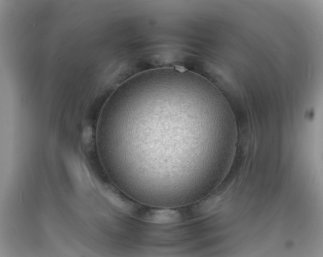 X0000092050087200709191129