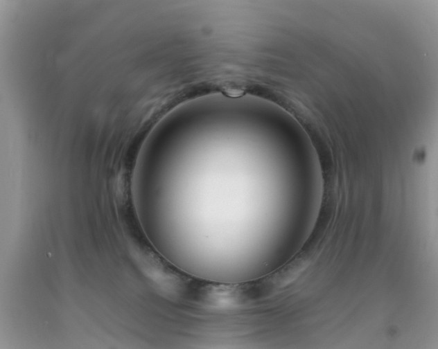 X0000092050088200709191129