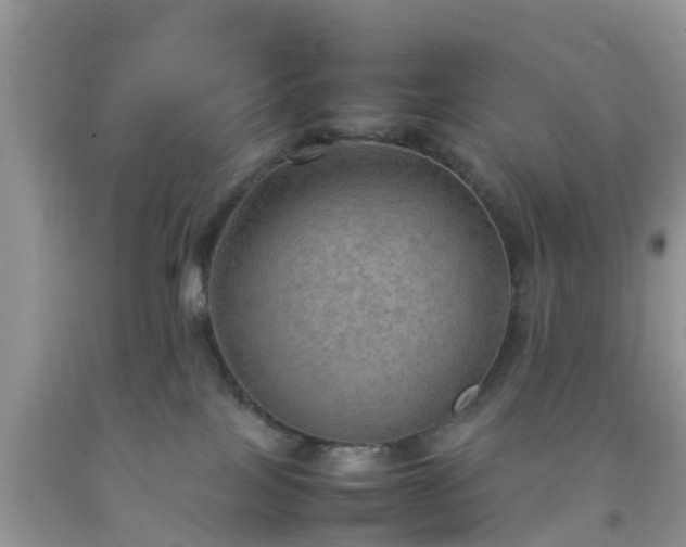 X0000092050089200709191129