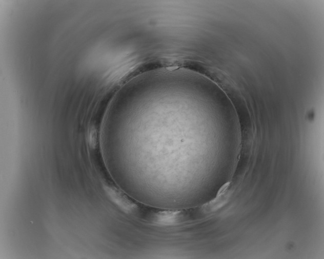 X0000092050090200709191129