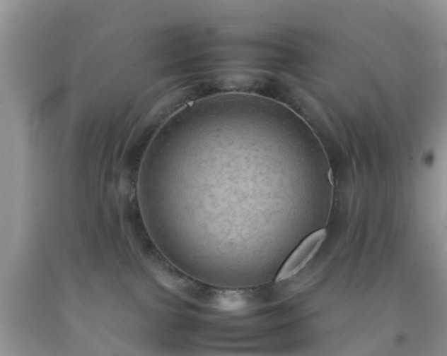 X0000092050091200709191129