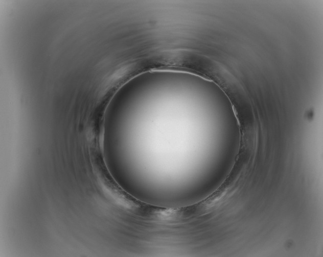 X0000092050092200709191129