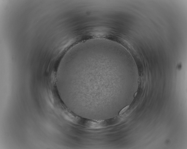 X0000092050093200709191129