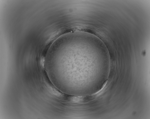 X0000092050094200709191129