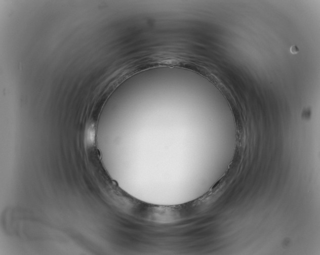 X0000092050095200709191129