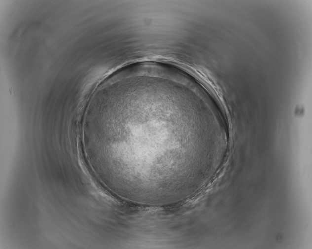 X0000092050097200709191129