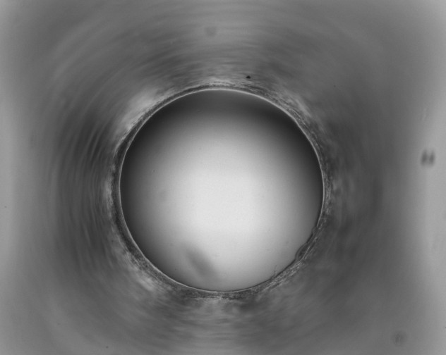 X0000092050098200709191129