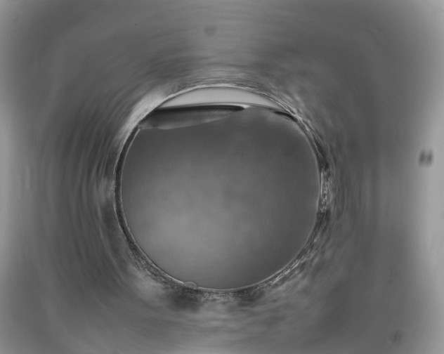 X0000092050099200709191129