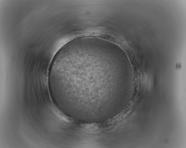 X0000092050100200709191129