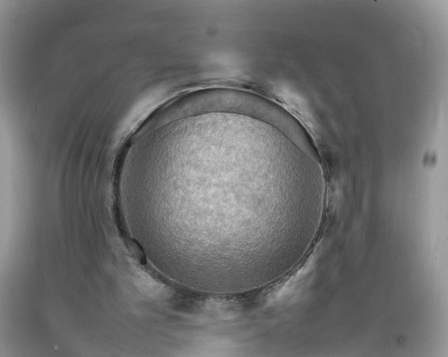 X0000092050101200709191129