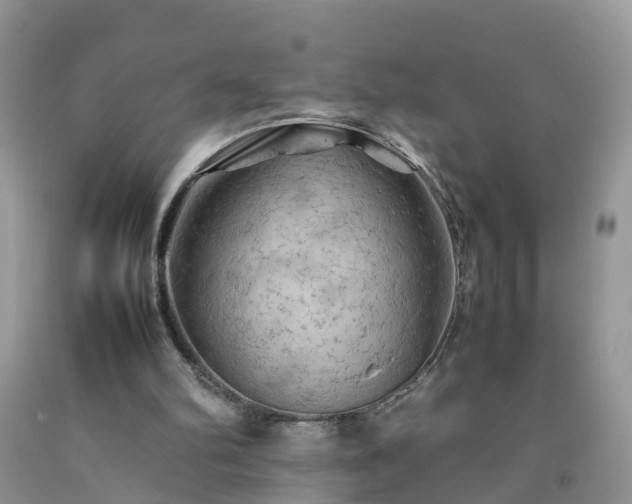 X0000092050102200709191129