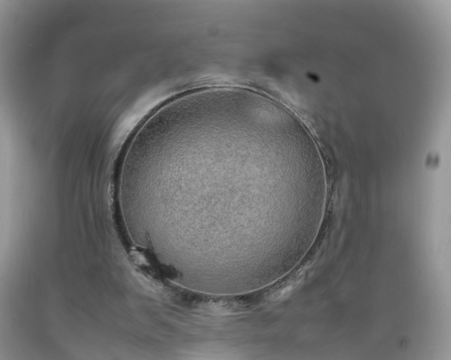 X0000092050103200709191129