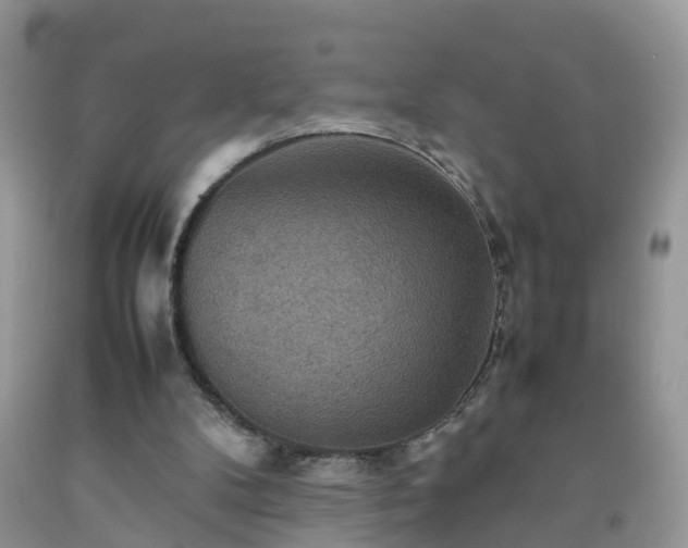 X0000092050104200709191129