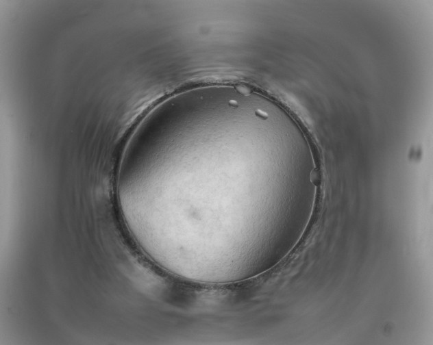 X0000092050105200709191129