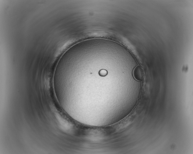 X0000092050106200709191129