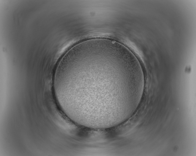 X0000092050107200709191129