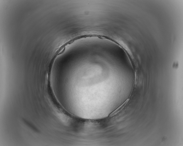 X0000092050109200709191129