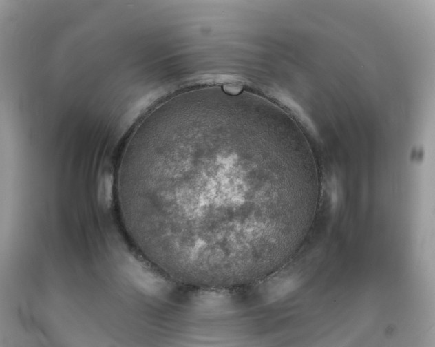 X0000092050110200709191129