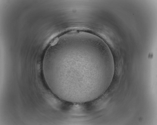 X0000092050111200709191129