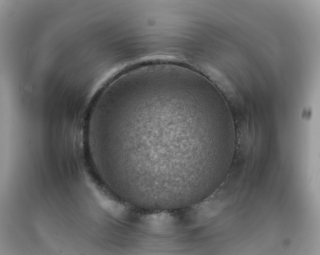 X0000092050112200709191129