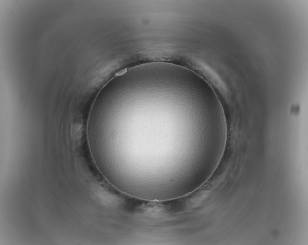 X0000092050113200709191129