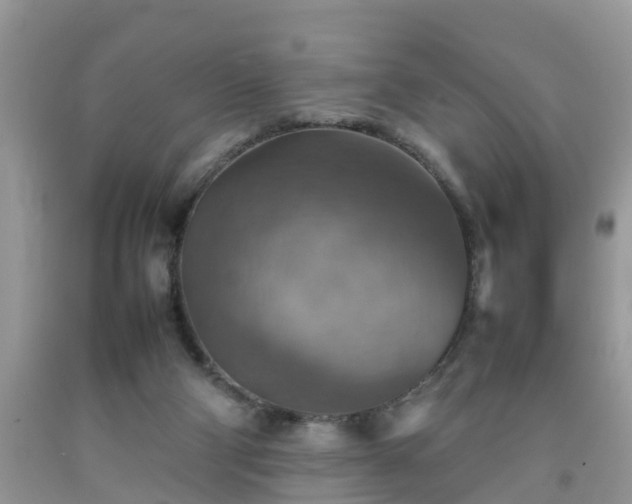 X0000092050114200709191129