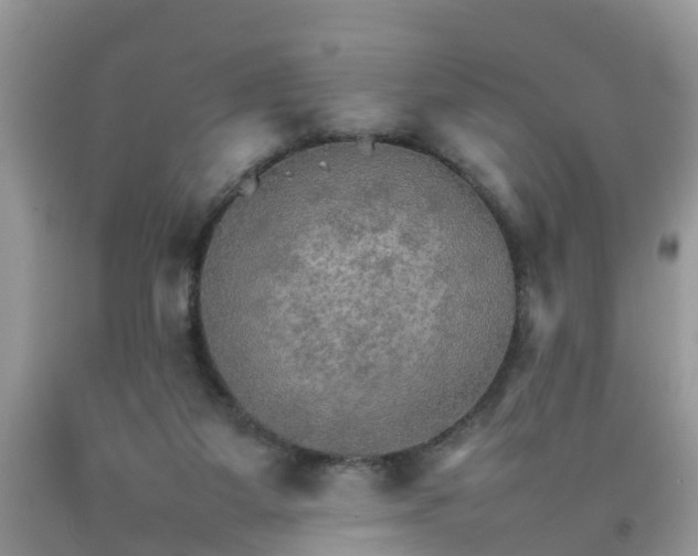 X0000092050115200709191129