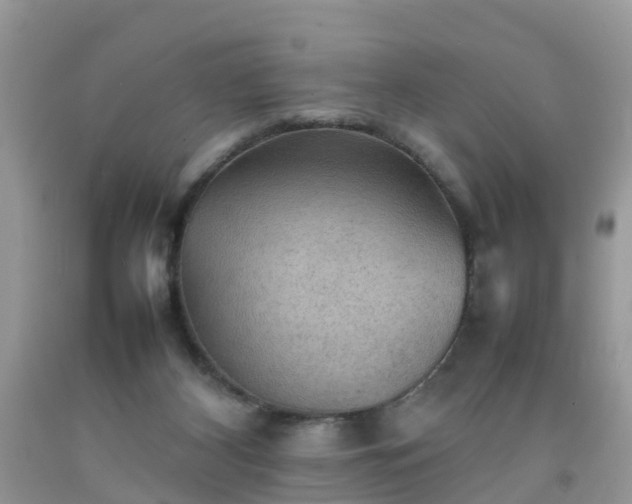 X0000092050116200709191129