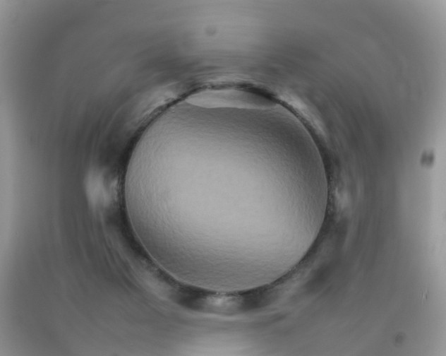 X0000092050117200709191129