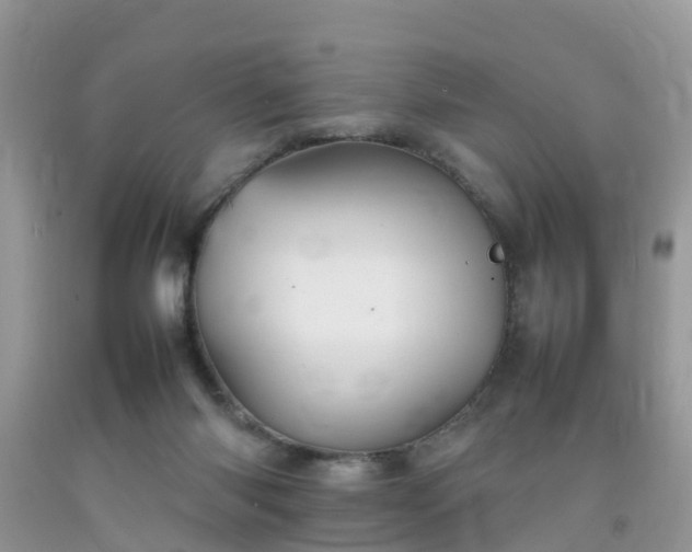 X0000092050118200709191129