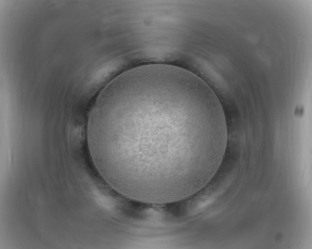 X0000092050119200709191129