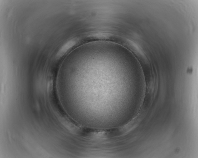 X0000092050120200709191129