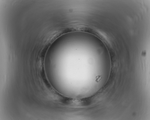 X0000092050121200709191129