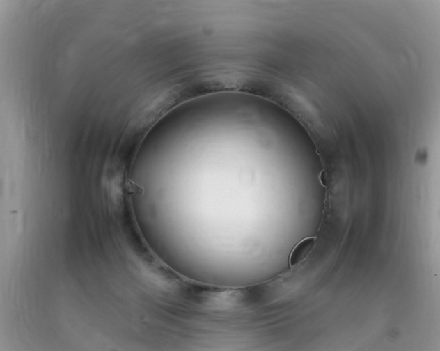 X0000092050122200709191129