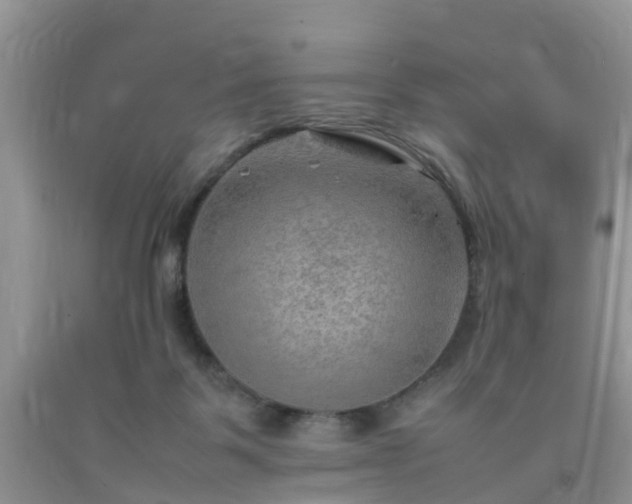 X0000092050123200709191128